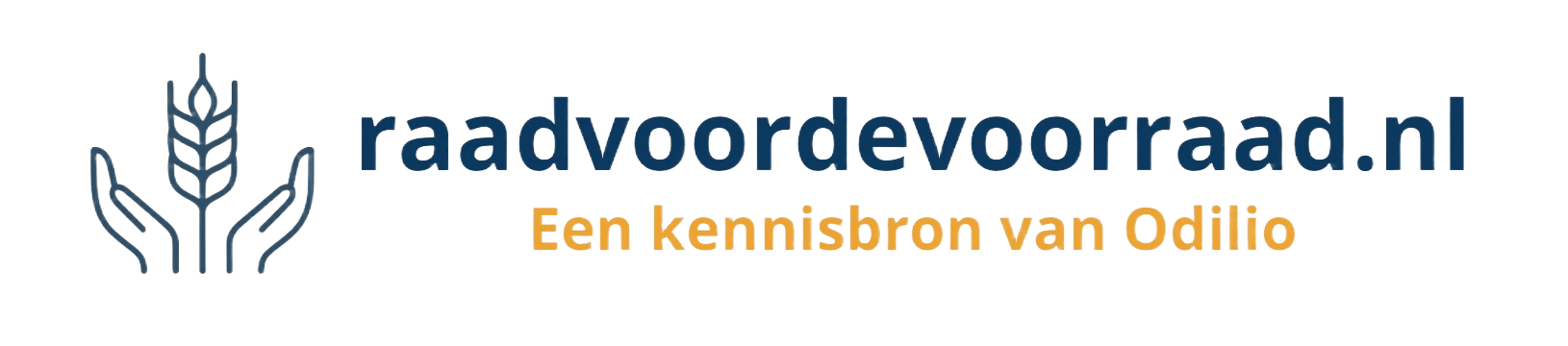 Raad voor de voorraad
